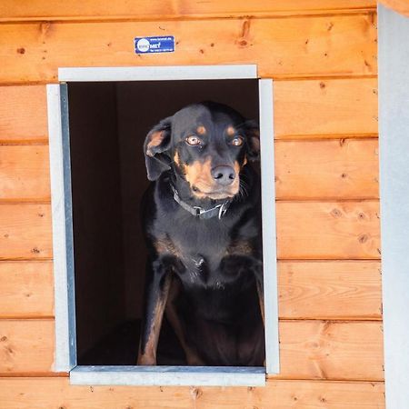 Ferienwohnung Bei Cooldog Imst Kültér fotó