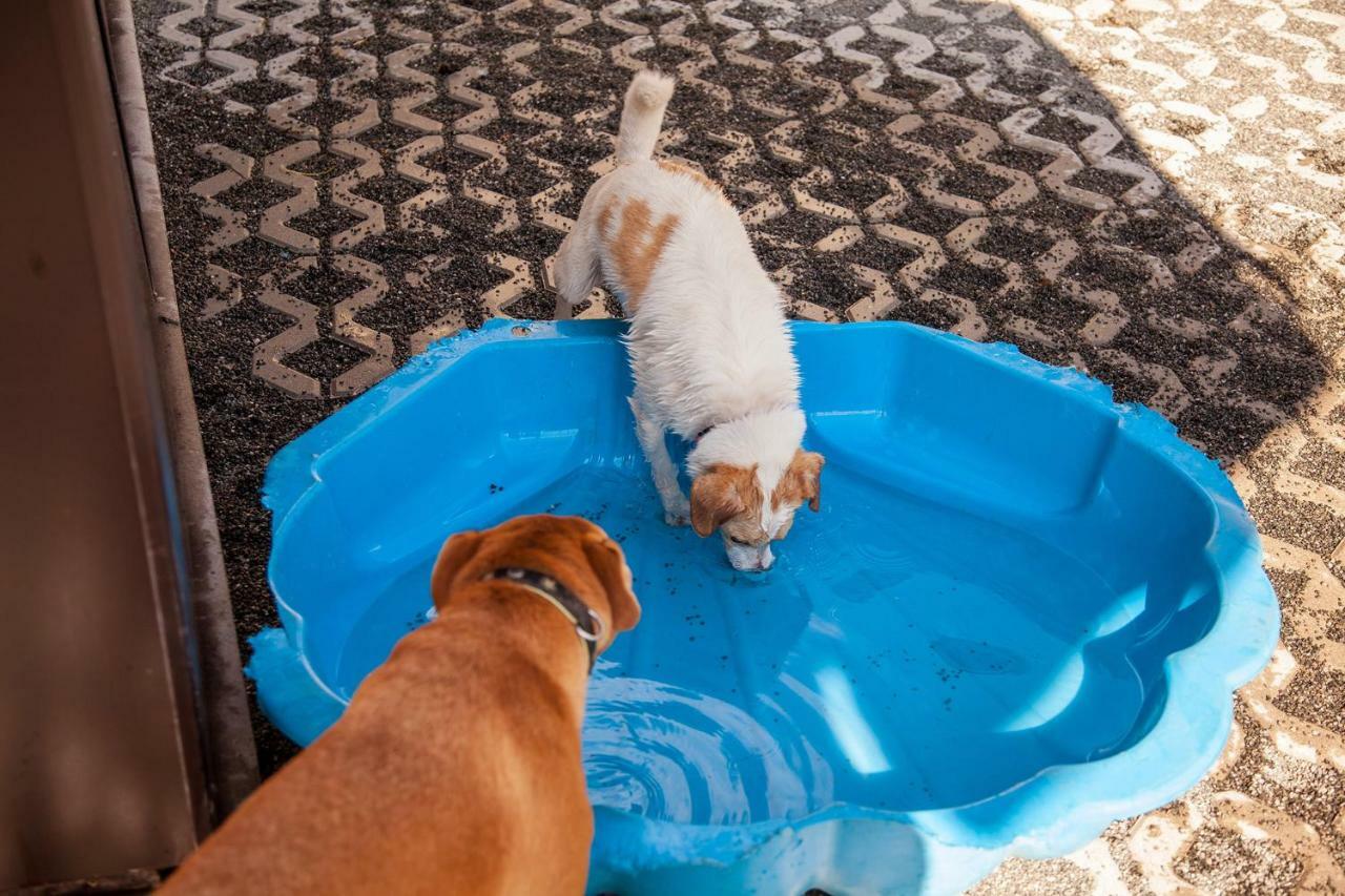 Ferienwohnung Bei Cooldog Imst Kültér fotó