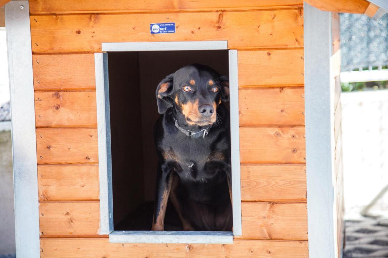 Ferienwohnung Bei Cooldog Imst Kültér fotó
